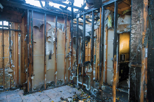 Professional Soot Cleanup technician working in Jupiter Farms, FL